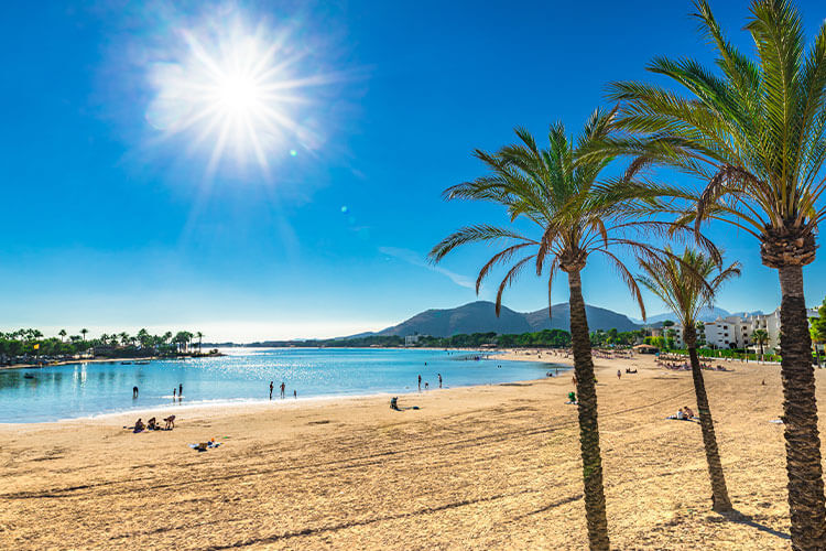 playa de alcudia