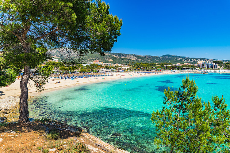 palmanova-beach